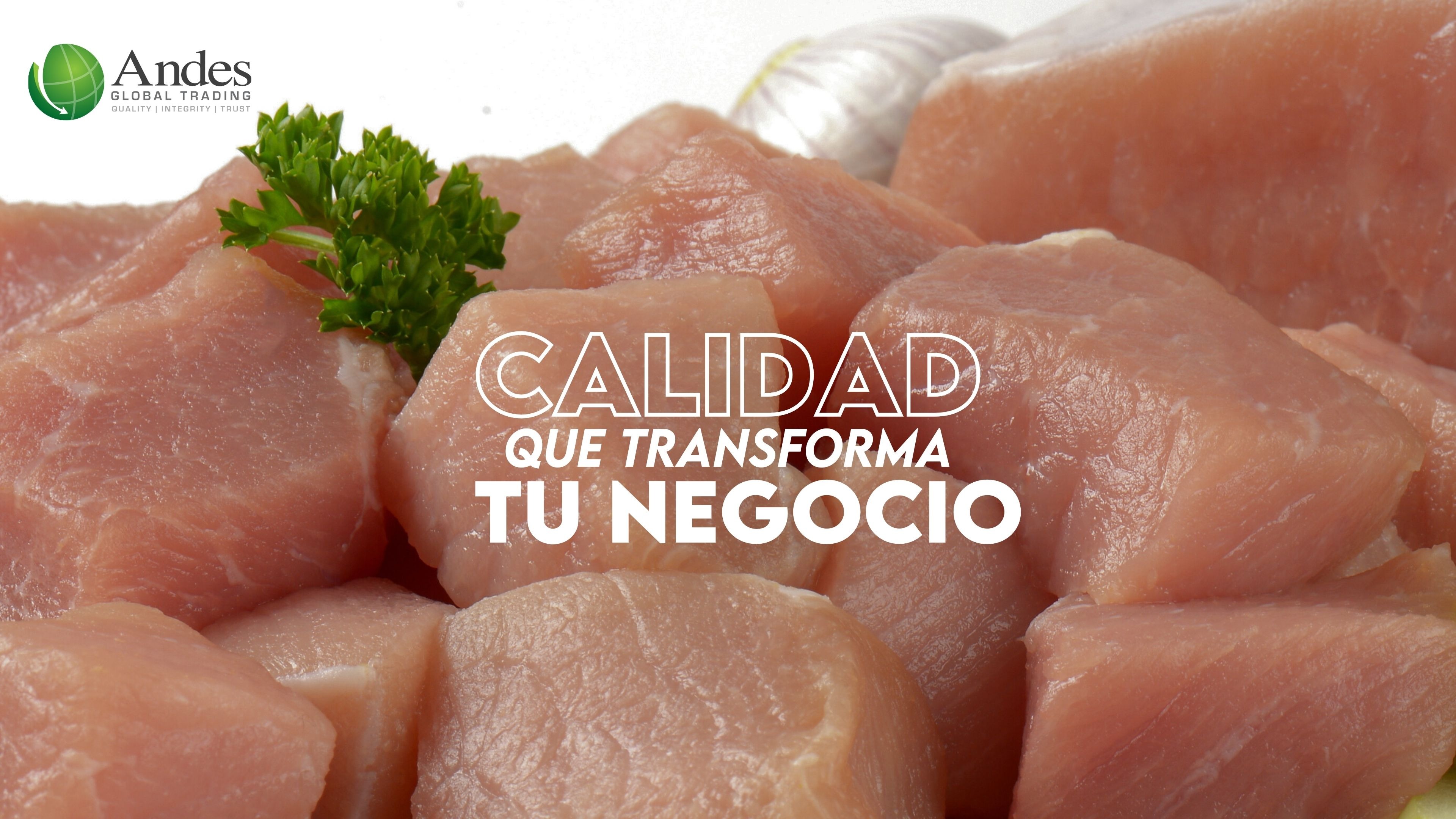 Andes Global Trading Website. 248