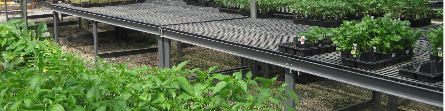 A-V International 182