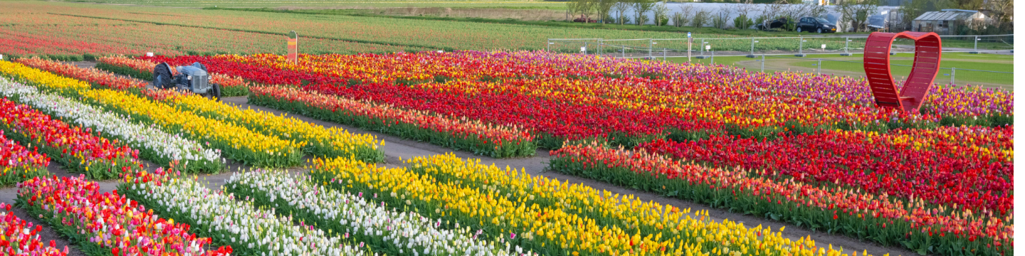 A.D.R. Bulbs, Inc. 222