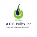 A.D.R. Bulbs, Inc. 222