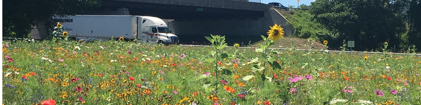 American Meadows Inc. 994