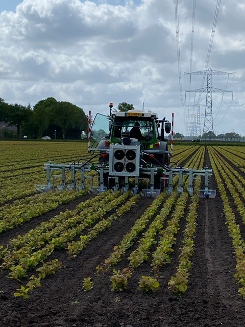 Mechanical weeder 137