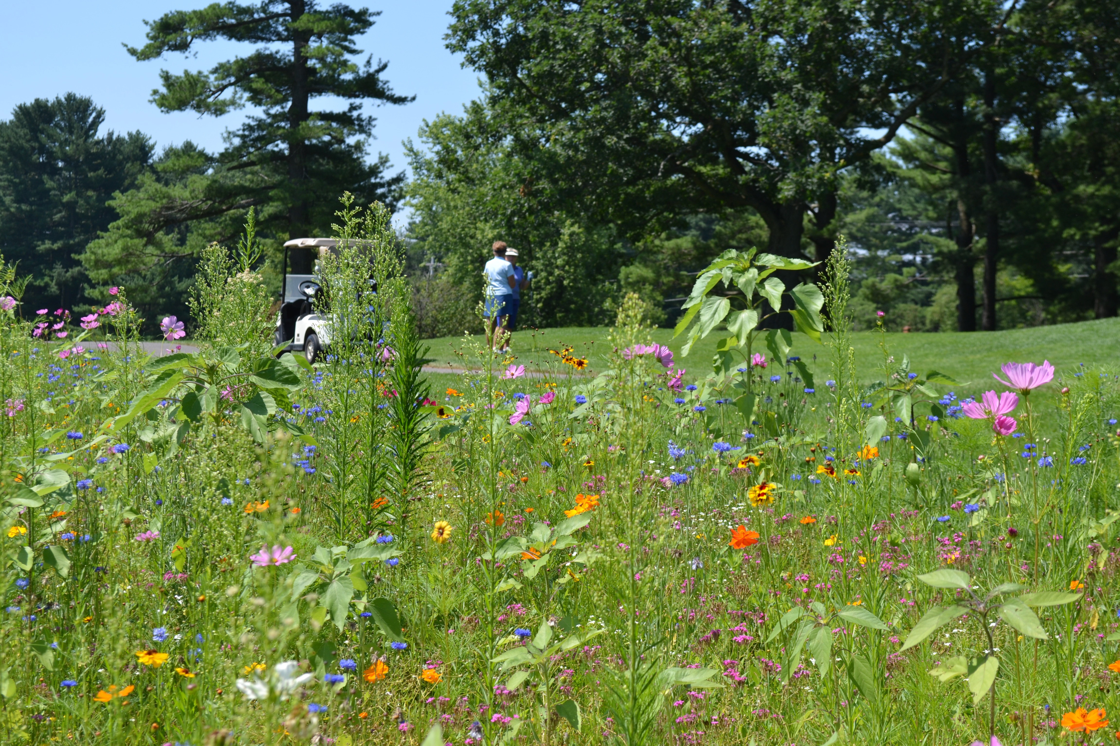 Free Shipping on your Spring 26' order! 146