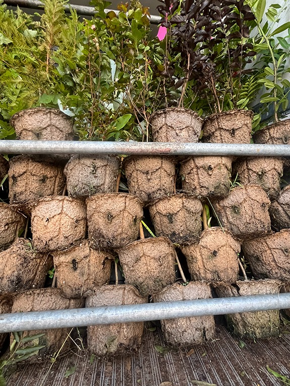 New RootMaker WalkAway BioPots 155