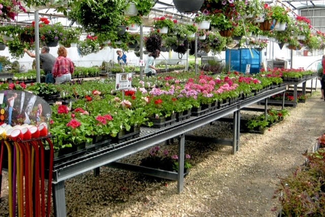 Greenhouse Benches 26