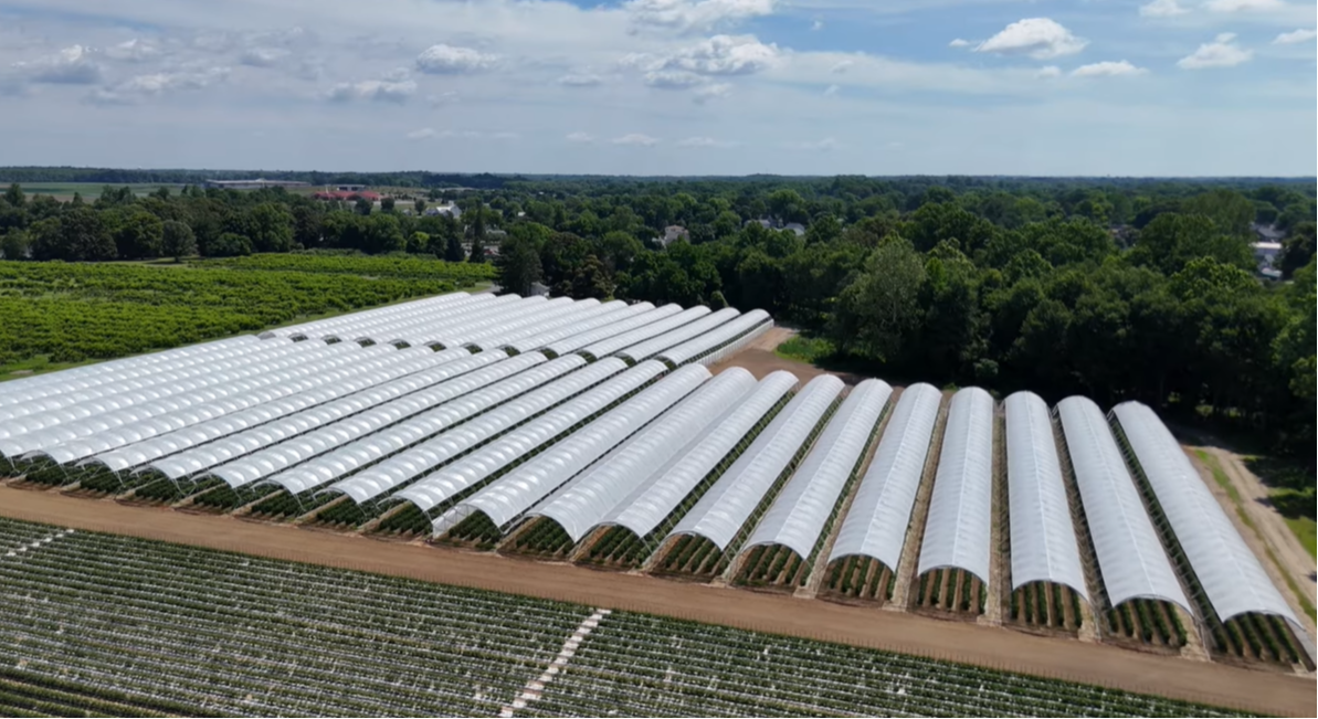Innovations in Agriculture: High-Tunnel Greenhouse Solutions 74