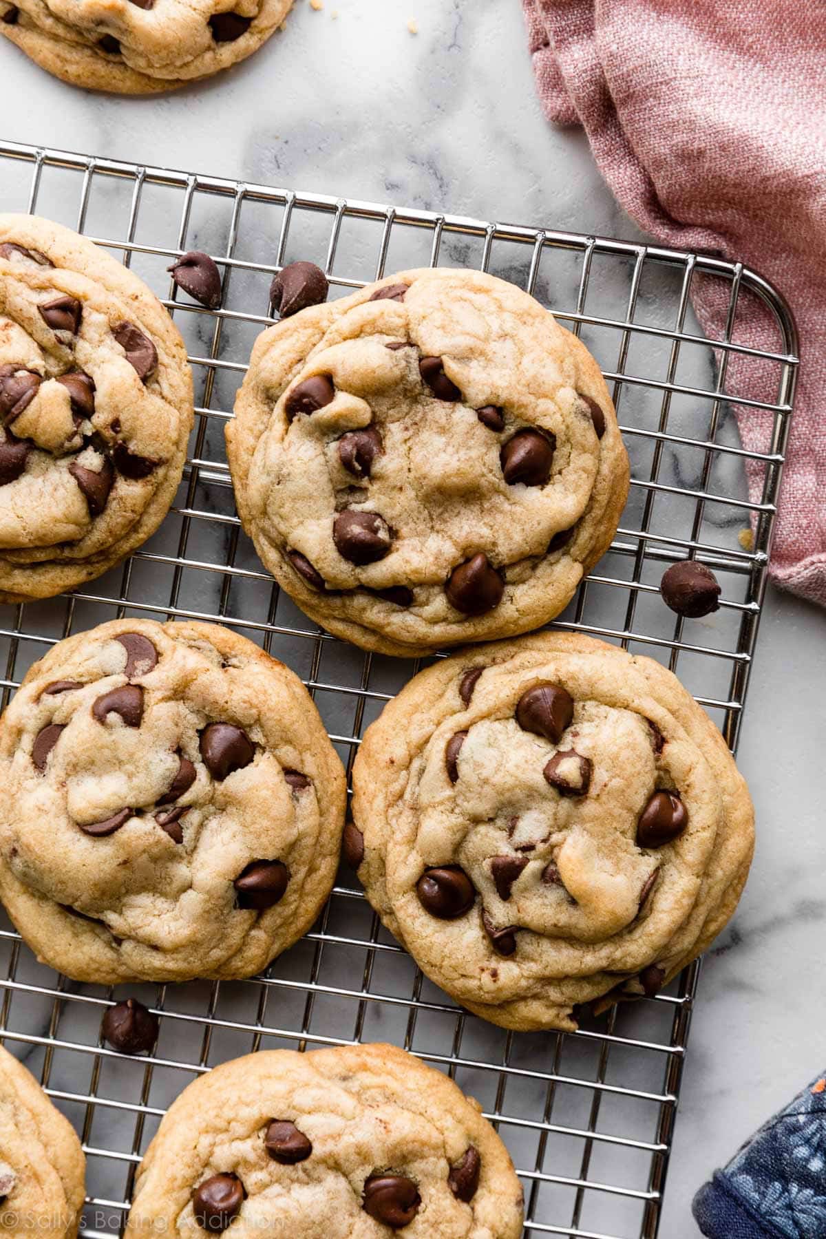 Chewy Chocolate Chip Cookies 87