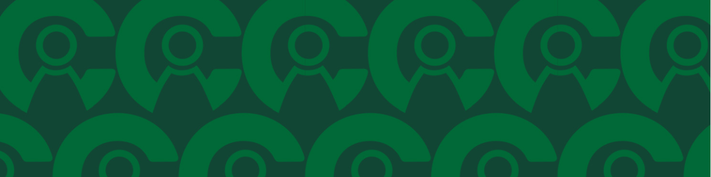 Caldera Medical, Inc. 31