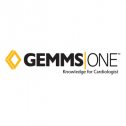 GEMMS, Inc 321