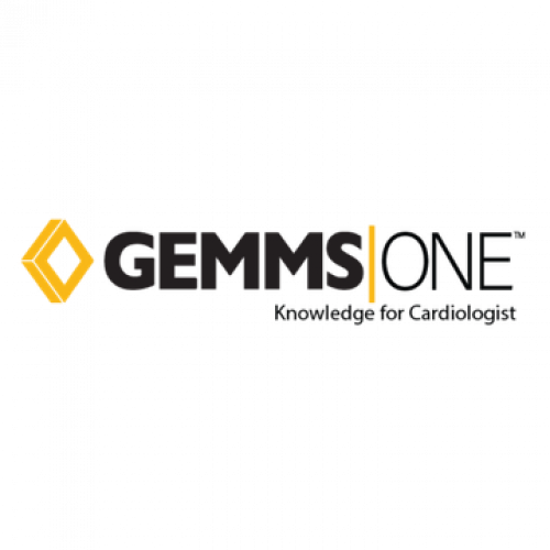 GEMMS, Inc 321