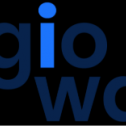 AngioWave Imaging 450