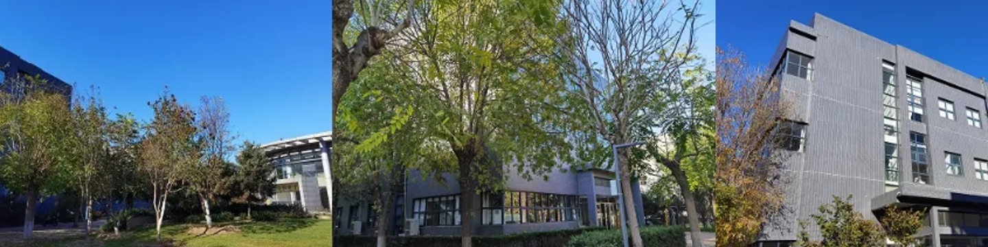 AccuBioTech Co., Ltd. 381