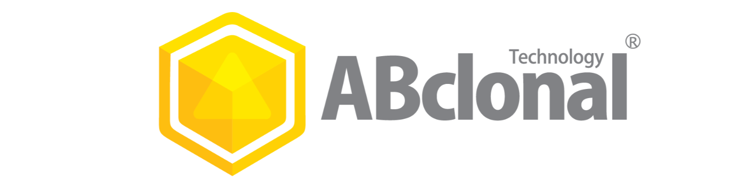 ABclonal Technology 260