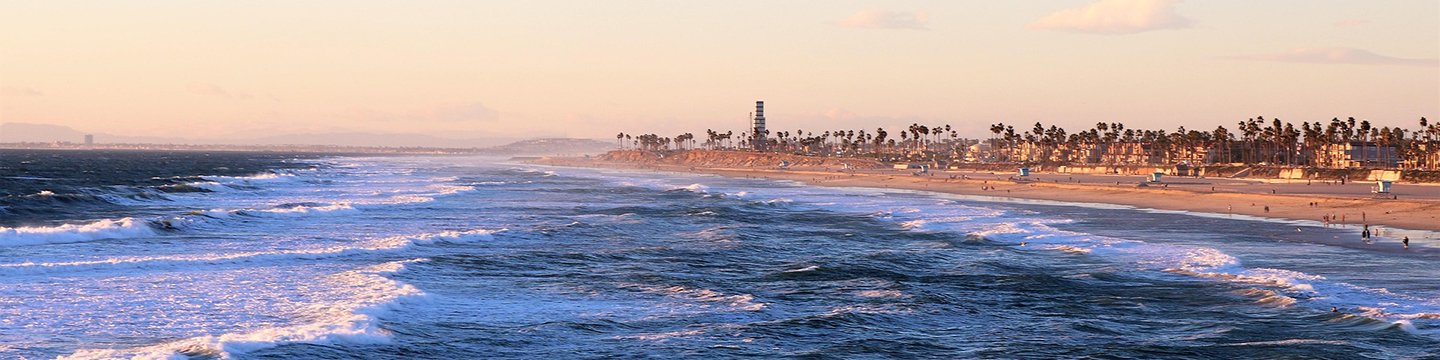 Aniara Diagnostica 594