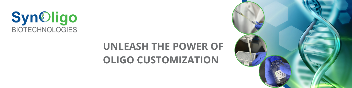 Synoligo Biotechnologies 571