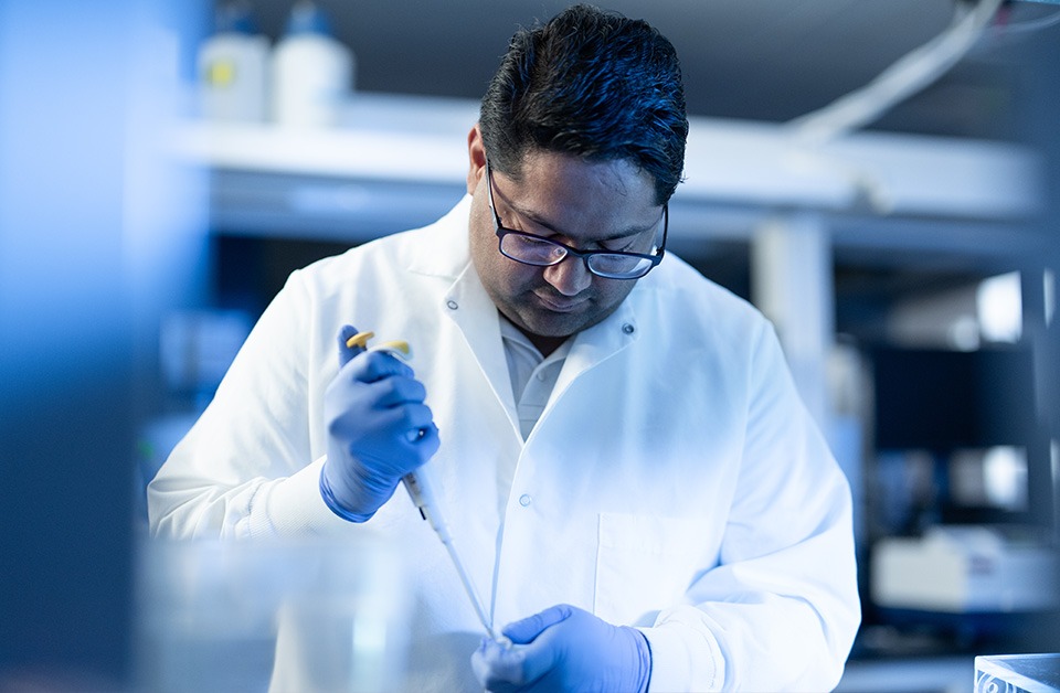 BLOG: Inside Influenza Reverse Genetics: Engineering Recombinant Viruses for Safer Research 370