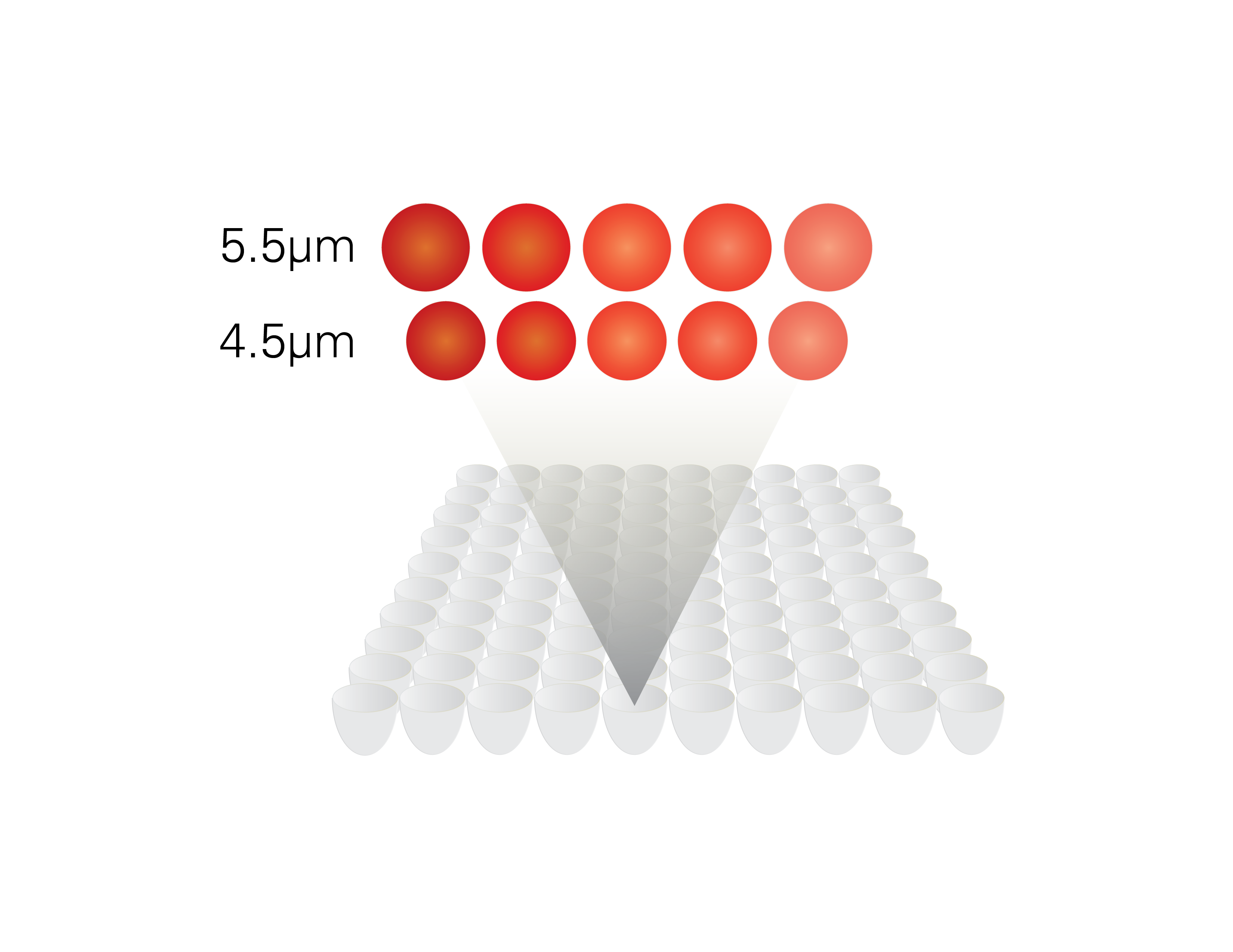 QuantumPlex™ Suspension Array for Multiplexed Flow Cytometry 40