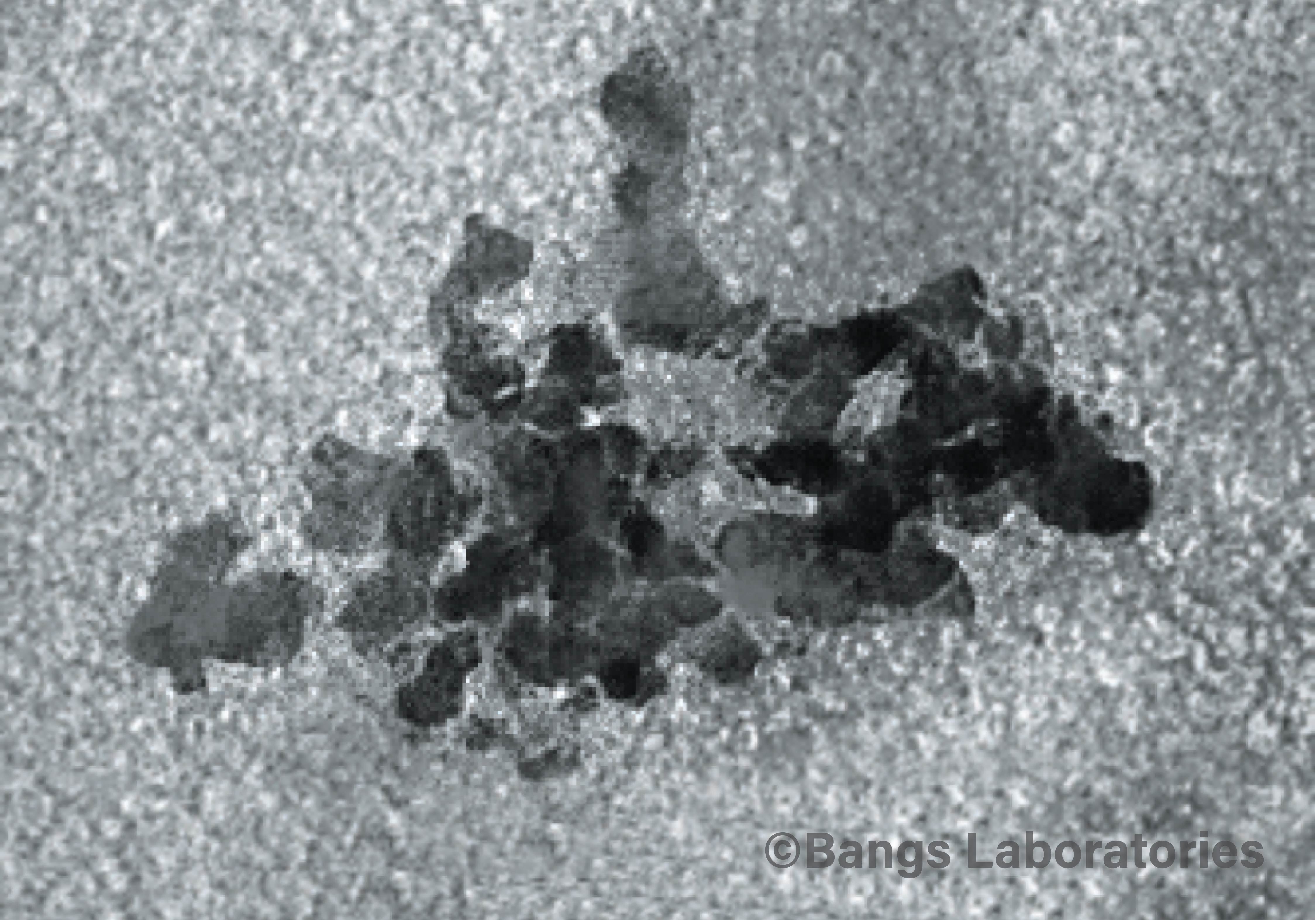Single-Nucleus/Cell or Bulk Chromatin Profiling with Concanavalin A-Coated Magnetic Beads 41