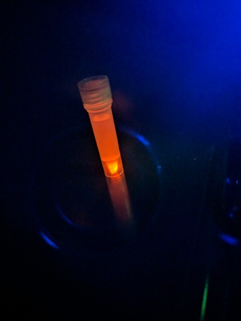 Lateral Flow Starter Kit and Nanoparticle Sampler Packs 44