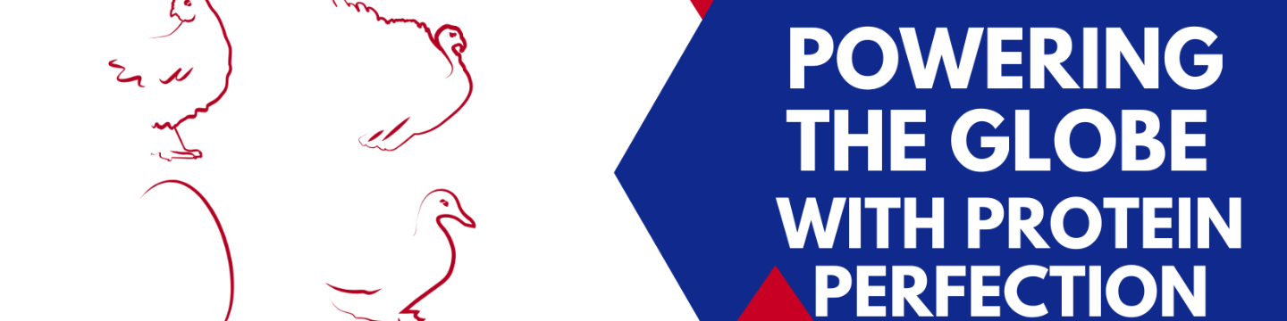 USA Poultry & Egg Export Council 325