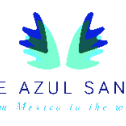 AGAVE AZUL SAN JOSE SA DE CV 47