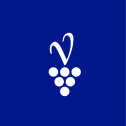 Vinigalicia Family Winery 576