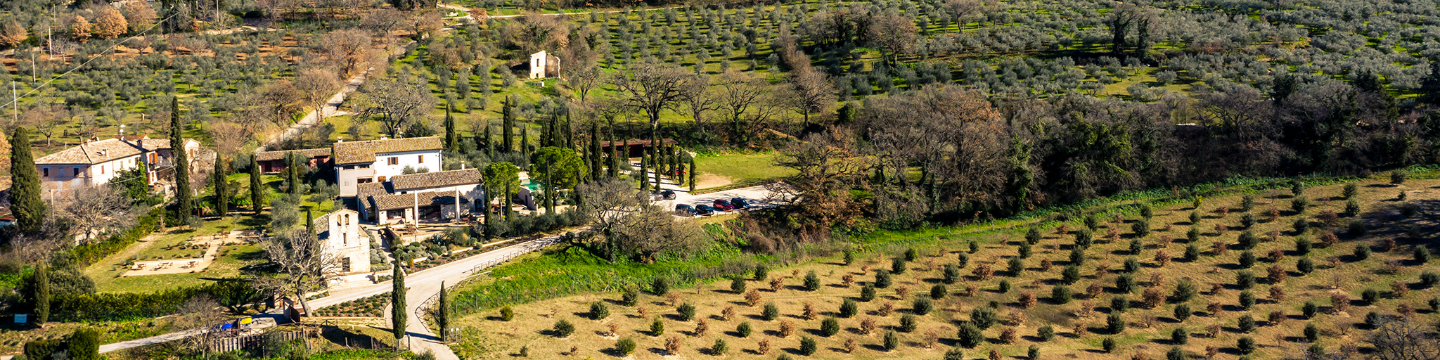 AZ. AGR. San Pietro A Pettine 938