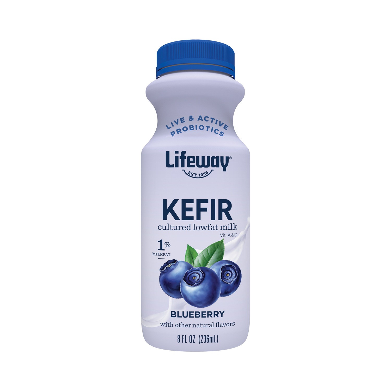 Lifeway Lowfat Blueberry Kefir 533