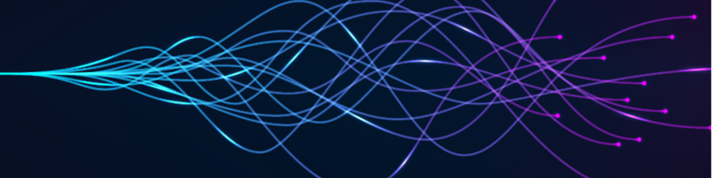 Connection Public Sector Solutions 78