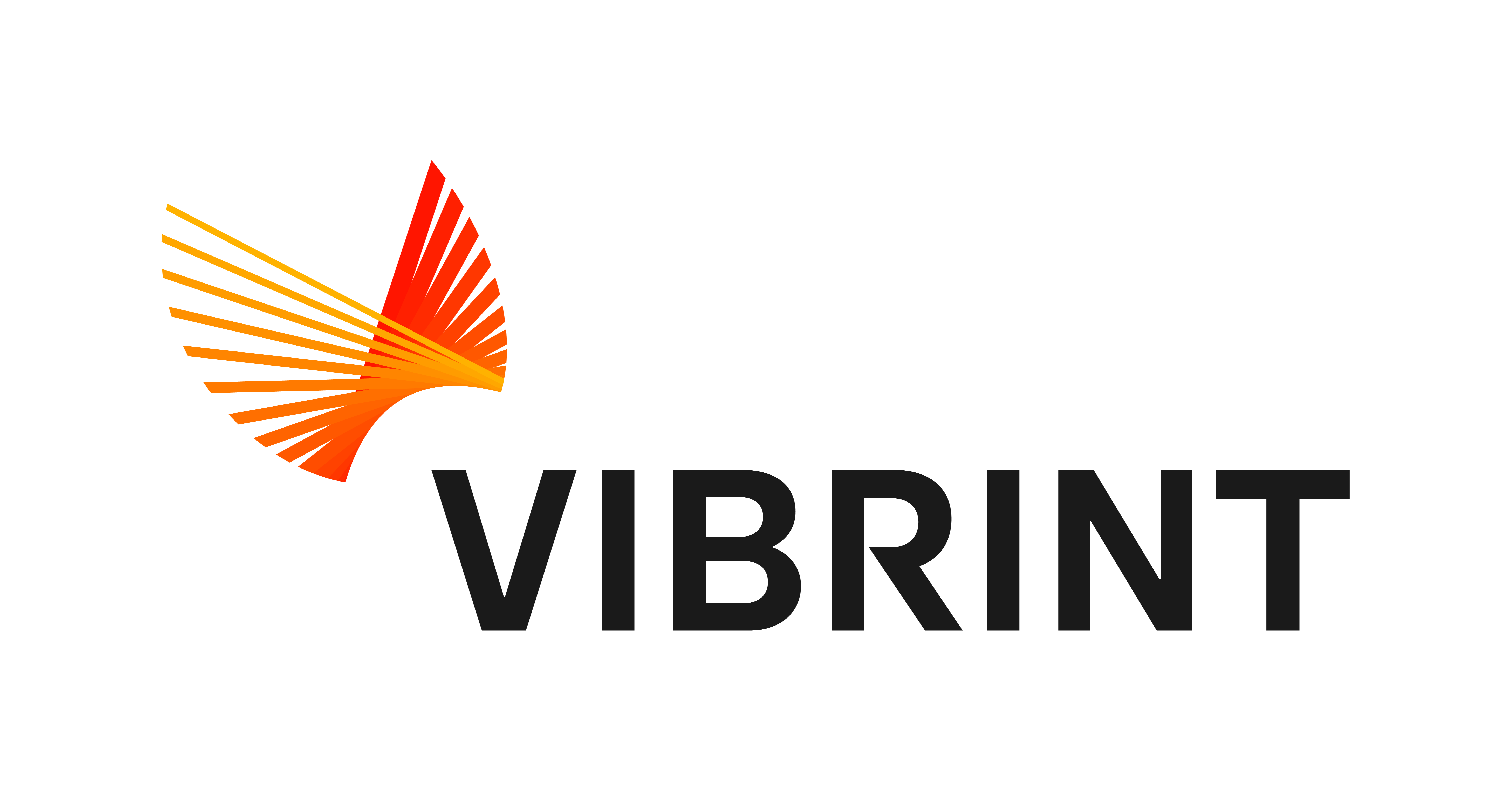 Vibrint Capabilities 101