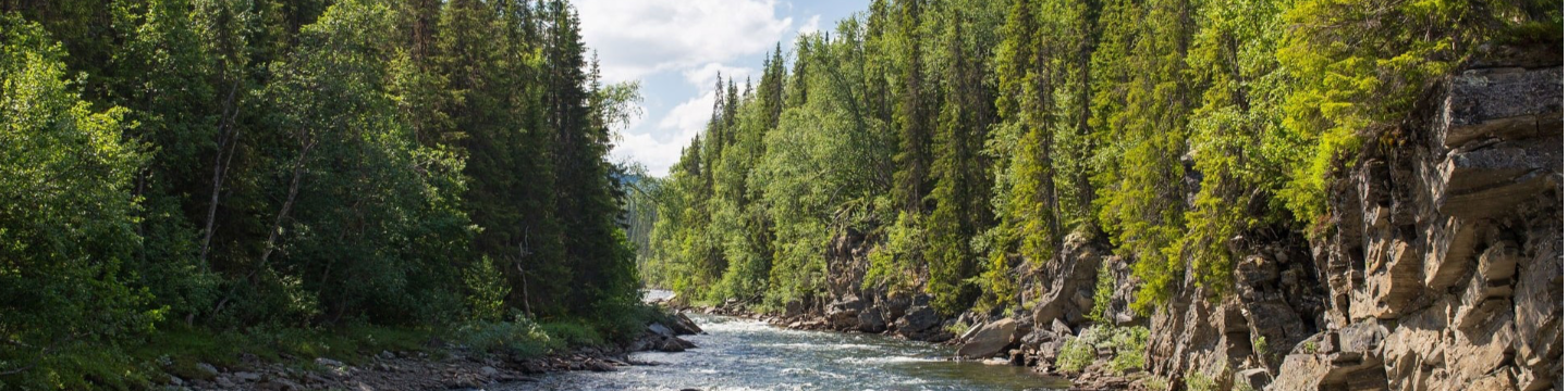 CUAHSI - Consortium of Universities for the Advancement of Hydrologic Science, Inc. 155