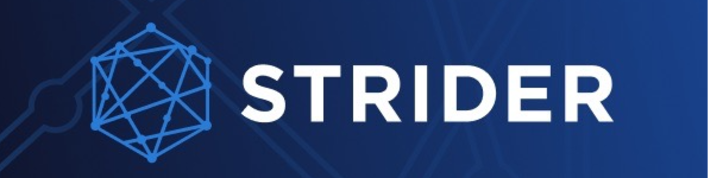 Strider Technologies, Inc 112