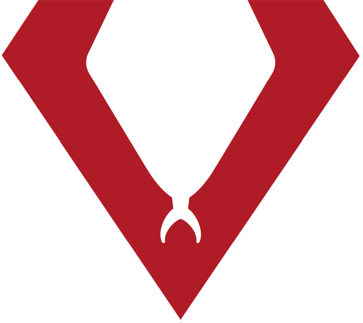 ViperVision Software Now Offers Seamless Integration with Top VMS Systems Using RTSP 438