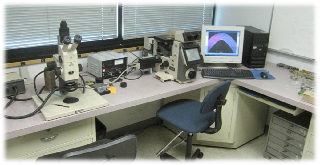 Lab testing services 678