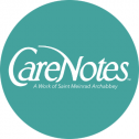 CareNotes 160