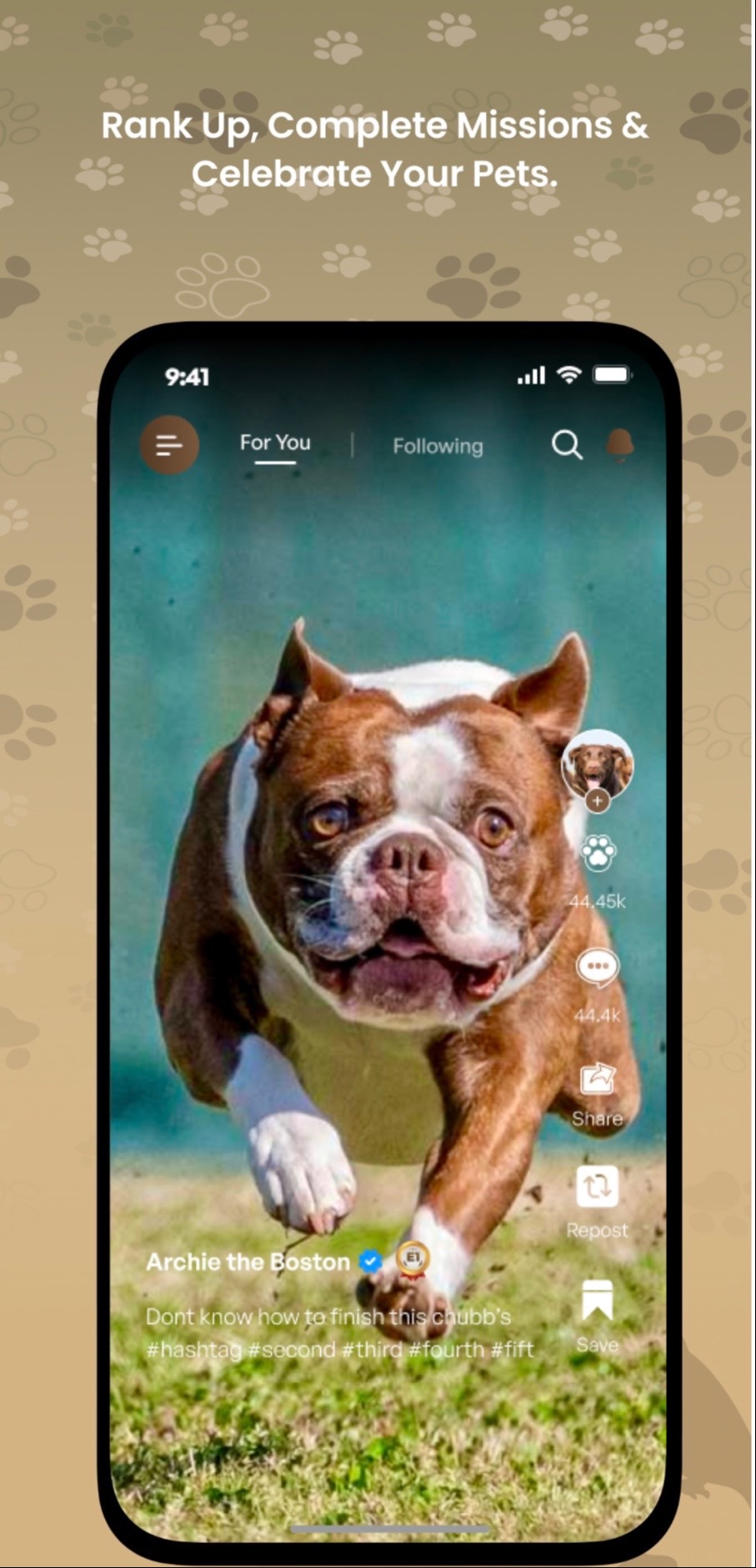 “Paws Up. Hearts In.” 23