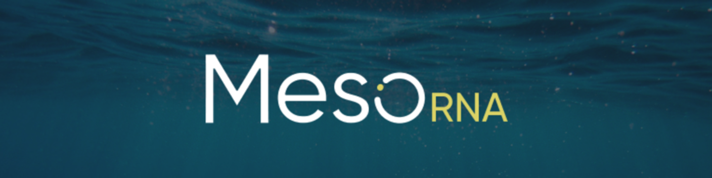 MesoRNA 40