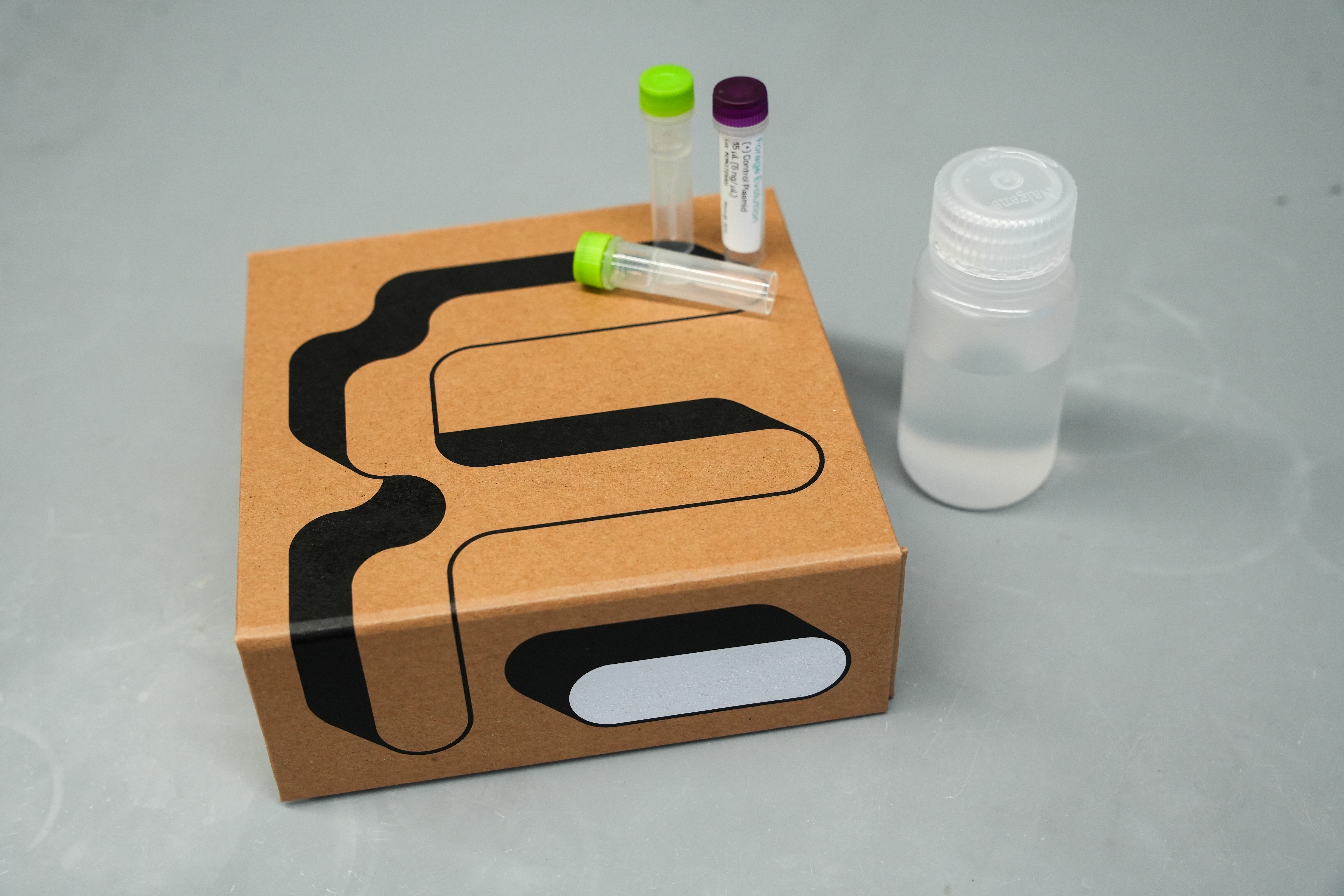 Forager Fast Plasmid Subcloning Kit 20