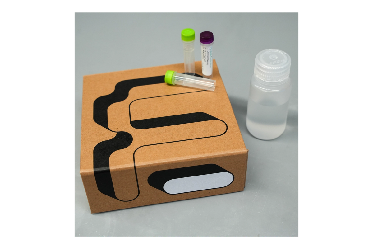 Forager-Fast Plasmid Subcloning Kit 32