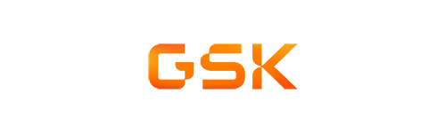 gsk_1