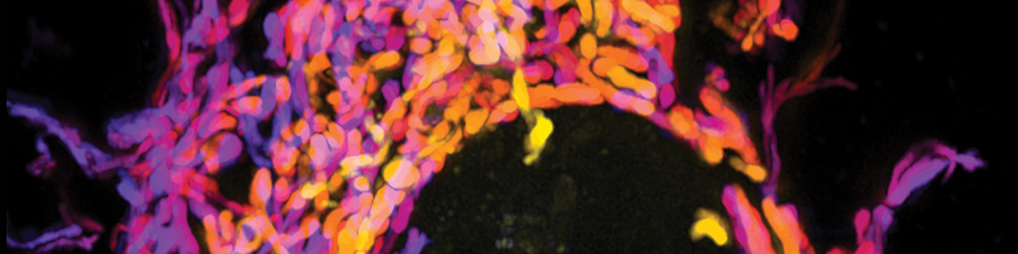 American Association for Cancer Research 276