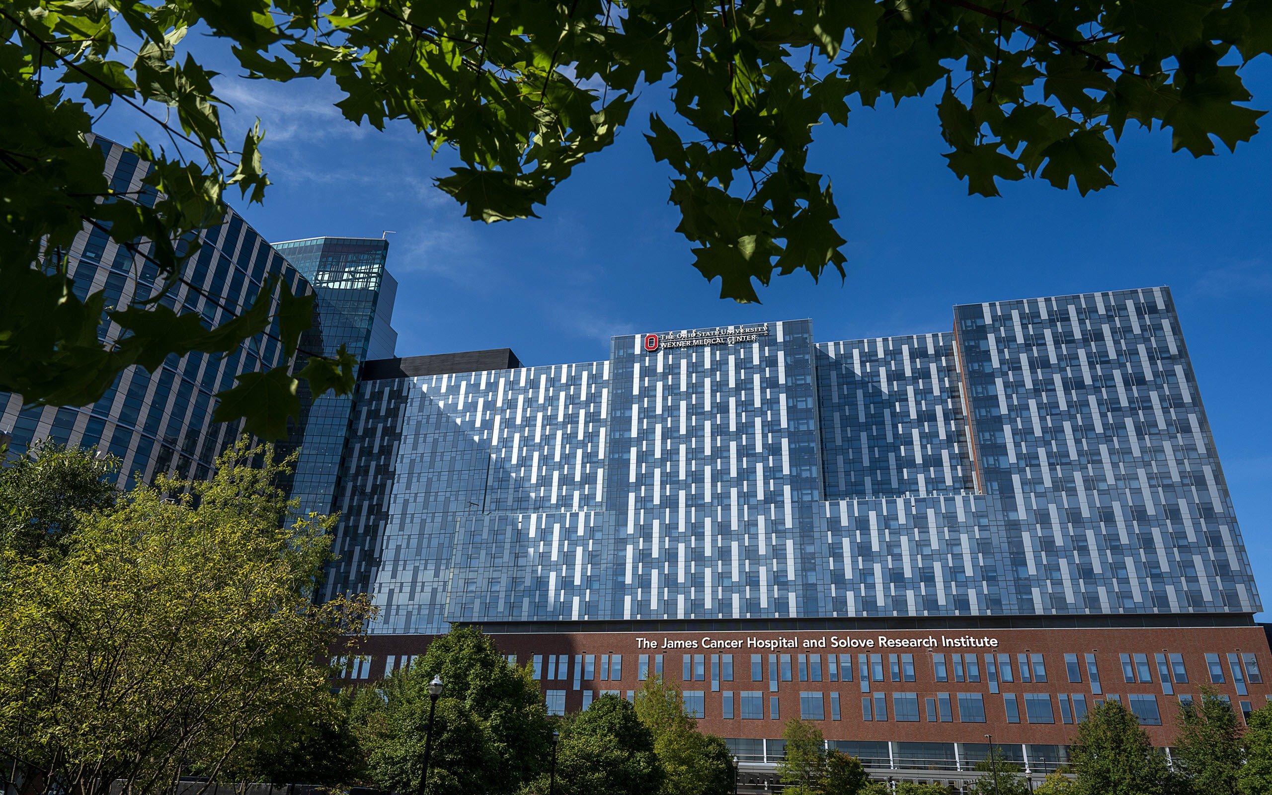 Translational clinical research at a top-tier NCI comprehensive cancer center 1426