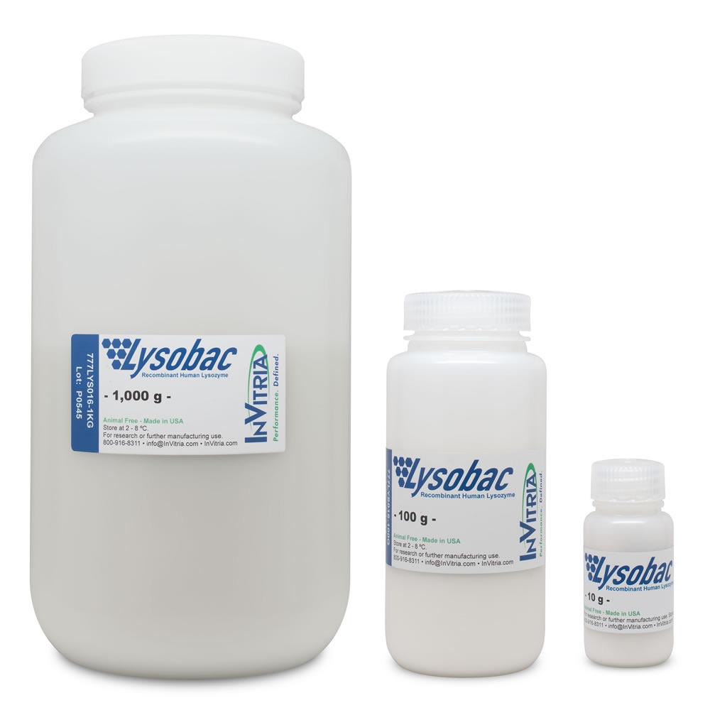 Lysobac®  – Animal-Free Lysozyme 340