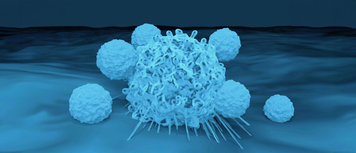 Testing Service for Cell Therapy 364