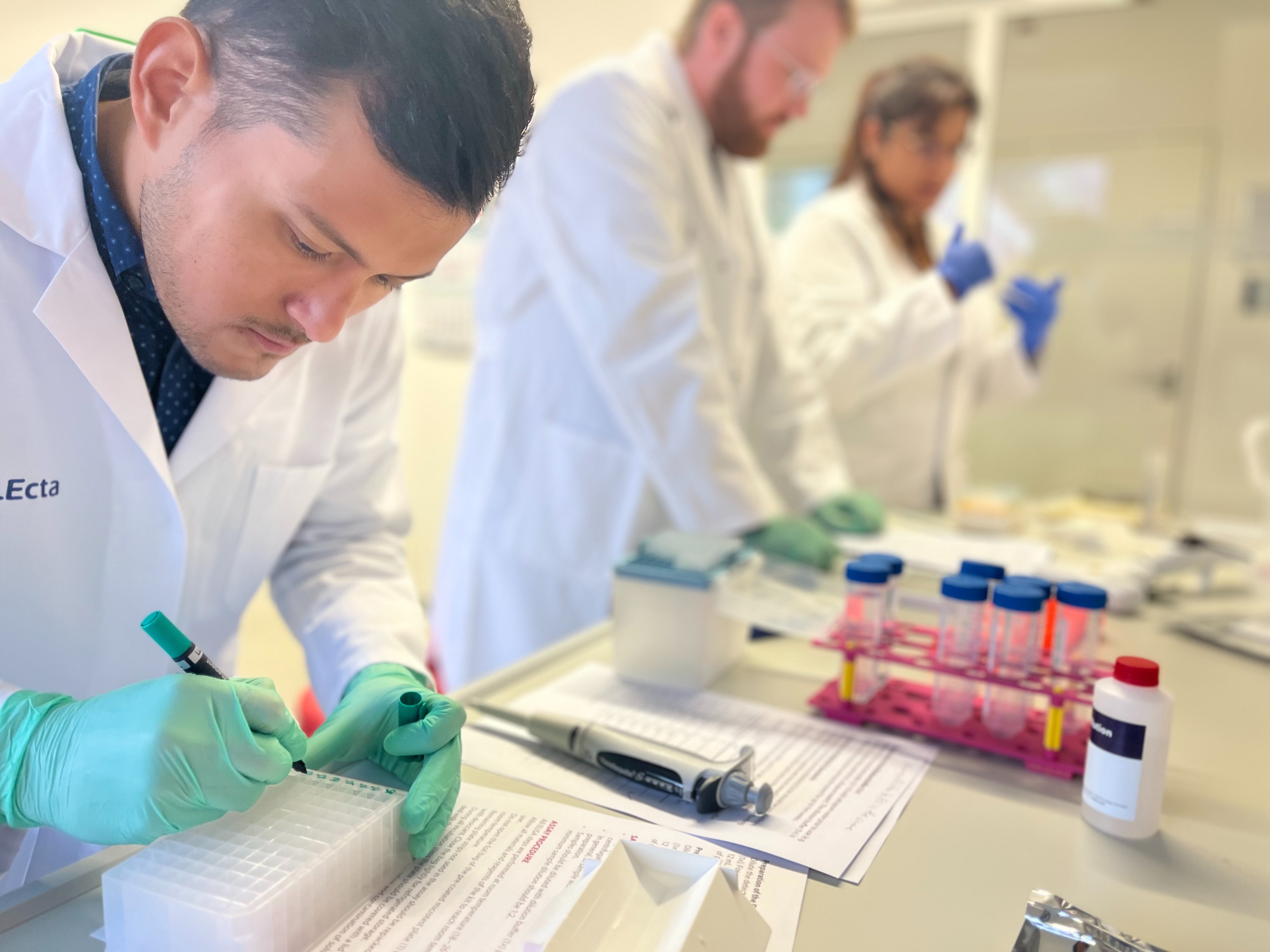 DENARASE ELISA Kit 28