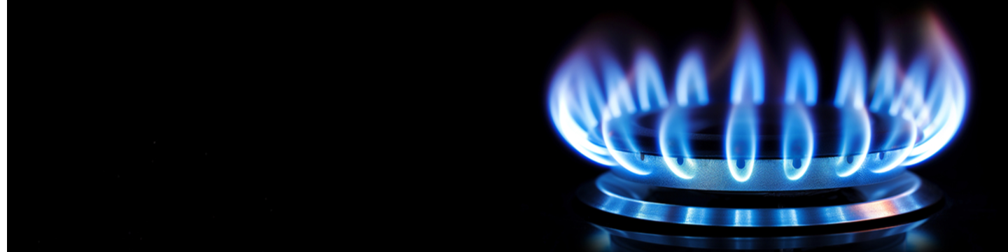 American Gas Safety 107