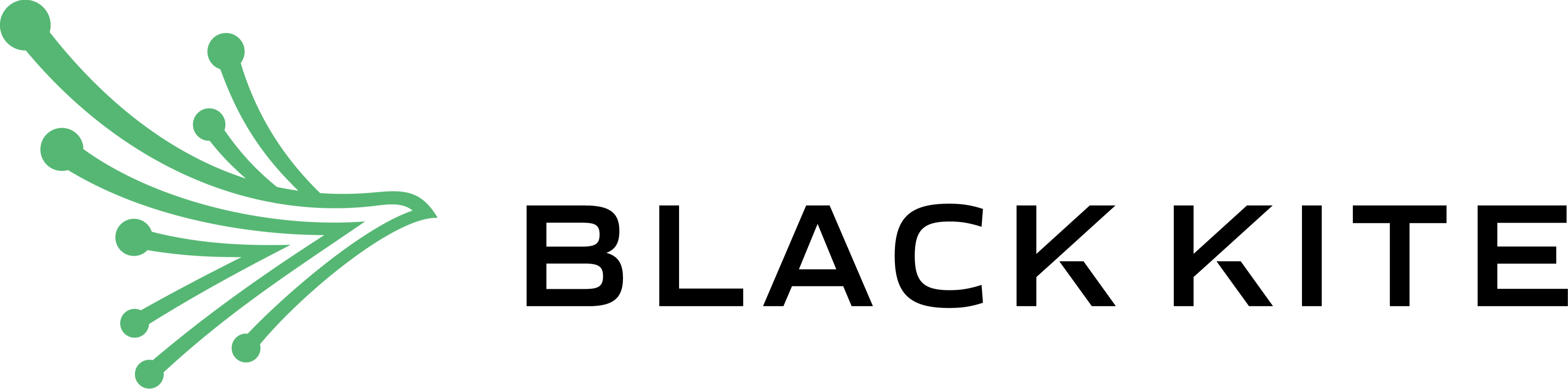 Black Kite Continuous Monitoring with Supply Chain 107