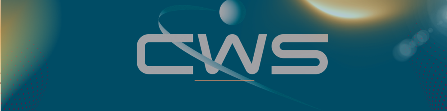 Computer World Services Corporation 102