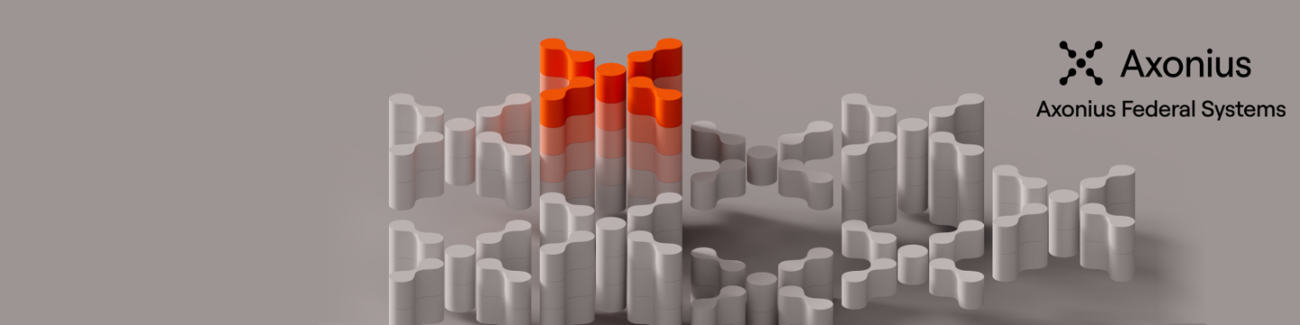 Axonius Federal Systems LLC 203