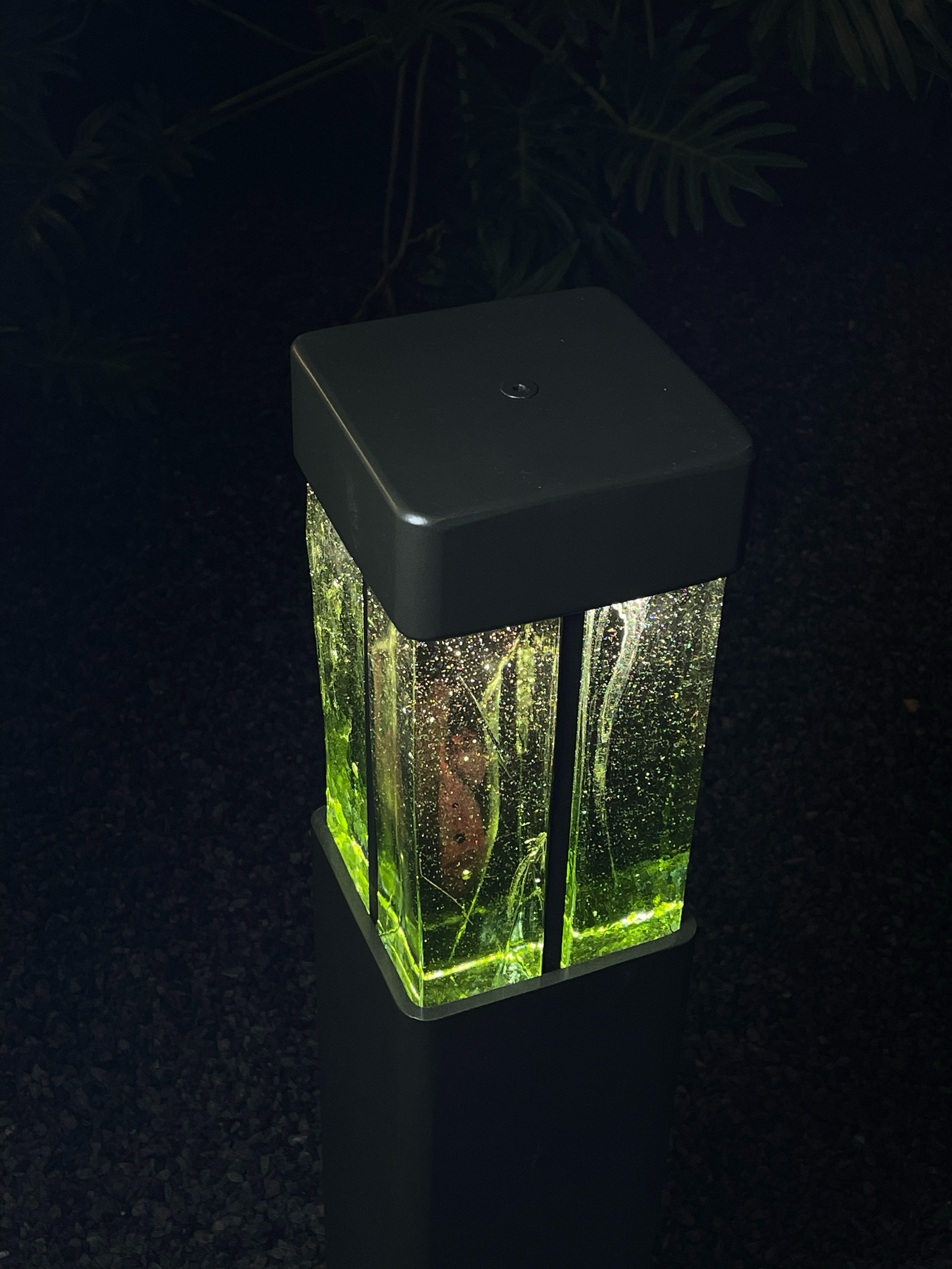 Artisanal Design Exclusives 273